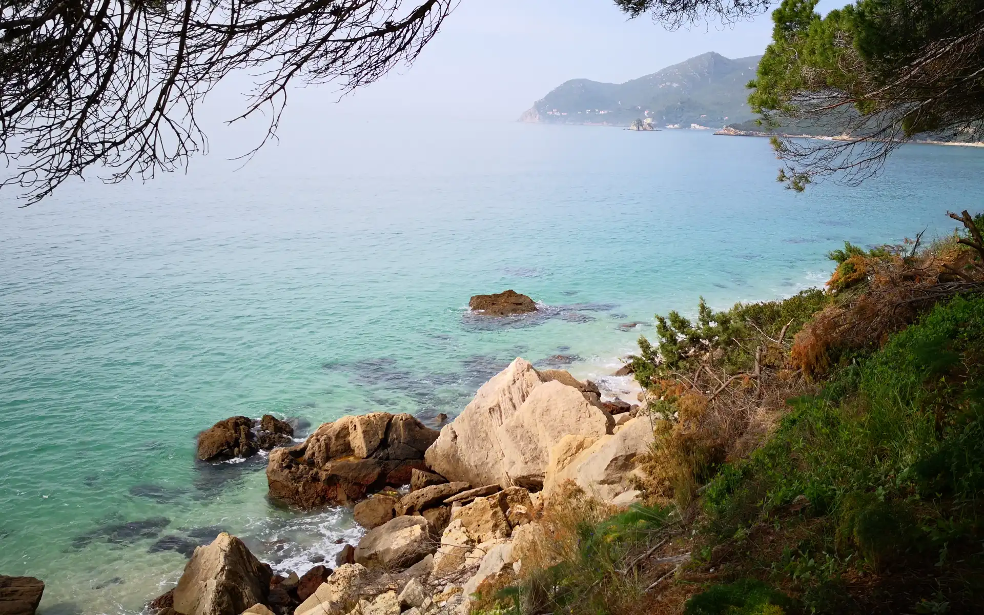 Scenic view of the turquoise waters and rocky shoreline at Figueirinha Beach in Setúbal, Portugal, with a distant mountainous coastline and overhanging pine tree branches.